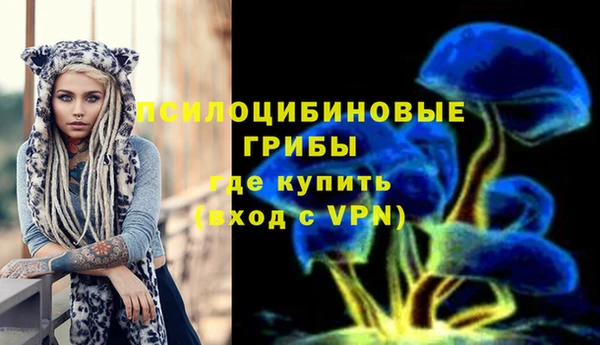 ешки Магадан