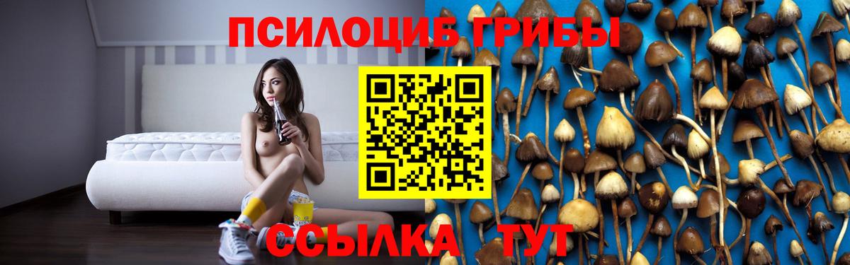 Краснодар  Псилоцибиновые грибы мицелий  Галлюциногенные грибы Magic Shrooms  Вход с VPN 